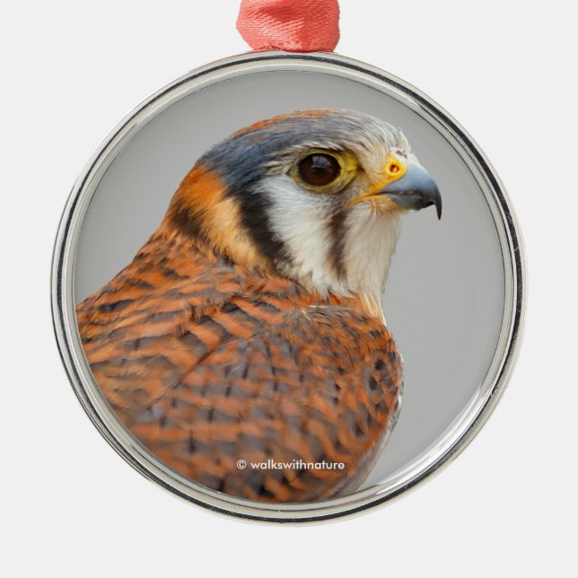 Stunning American Kestrel Sparrowhawk Falcon Metal Tree Decoration (Front)
