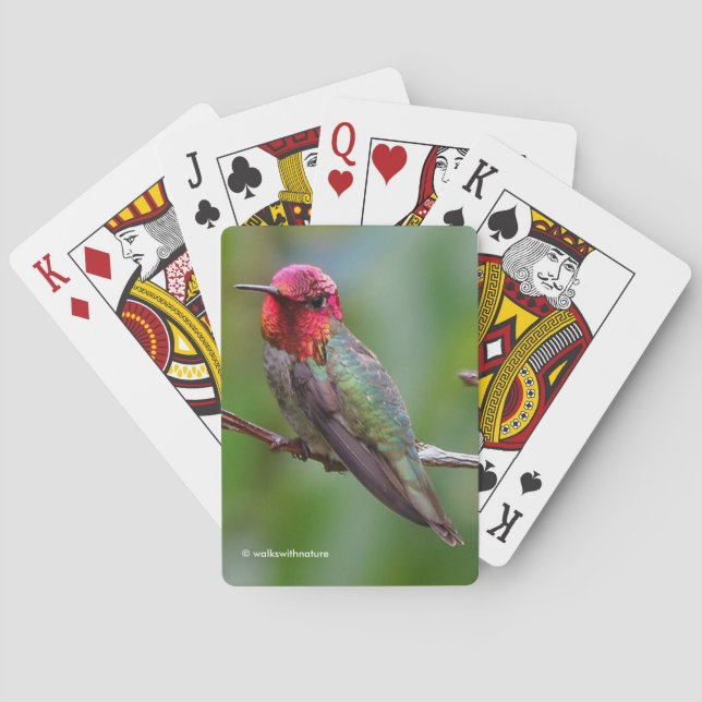 Stunning Anna's Hummingbird on Fruit Tree Playing Cards (Back)