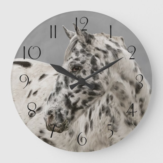 Stunning appaloosa gelding large clock (Front)