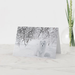 Stunning Arctic Fox Card