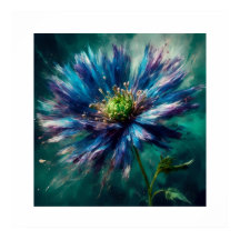 Stunning Aster Blossom