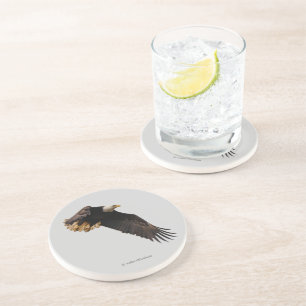 Stunning Bald Eagle Bird of Prey in Flight Coaster