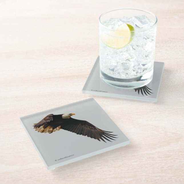 Stunning Bald Eagle Bird of Prey in Flight Glass Coaster (Angled)