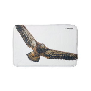 Stunning Bald Eagle Does a Flyover Bath Mat