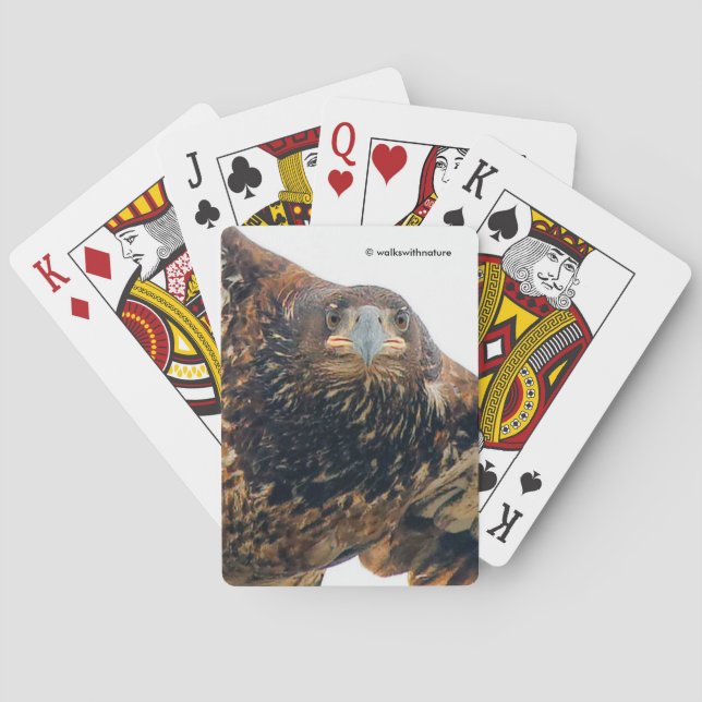 Stunning Bald Eagle Does a Flyover Playing Cards (Back)