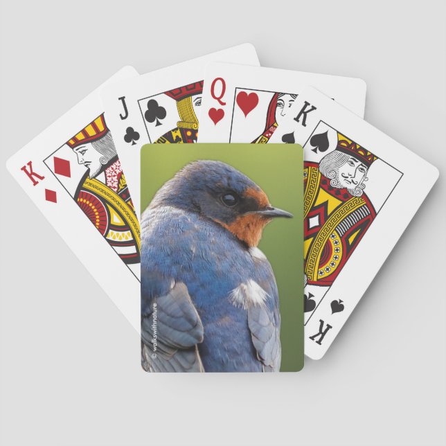 Stunning Barn Swallow Songbird on a Branch Playing Cards (Back)