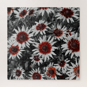 Stunning Black-Eyed Susans Jigsaw Puzzle