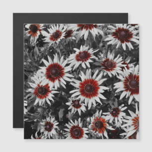 Stunning Black-Eyed Susans Magnetic Card