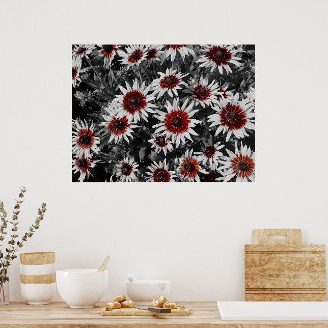 Stunning Black-Eyed Susans  Poster (Kitchen)