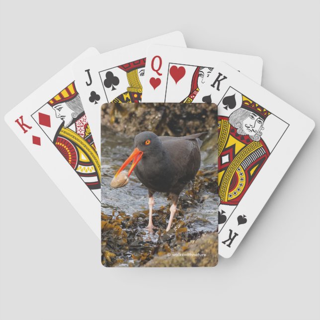 Stunning Black Oystercatcher Shorebird with Clam Playing Cards (Back)