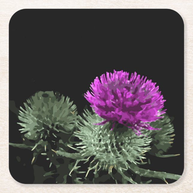 Stunning Black Thistle Square Paper Coaster (Front)