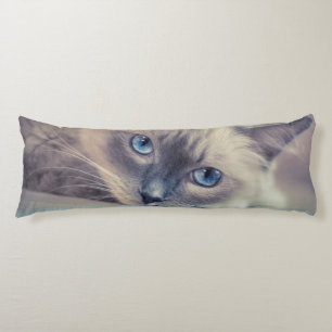 Stunning Blue Eyed Ragdoll‎ Cat Body Cushion