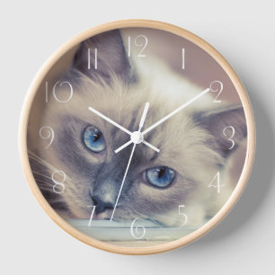 Stunning Blue Eyed Ragdoll Cat Clock