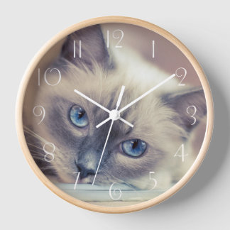 Stunning Blue Eyed Ragdoll‎ Cat Clock
