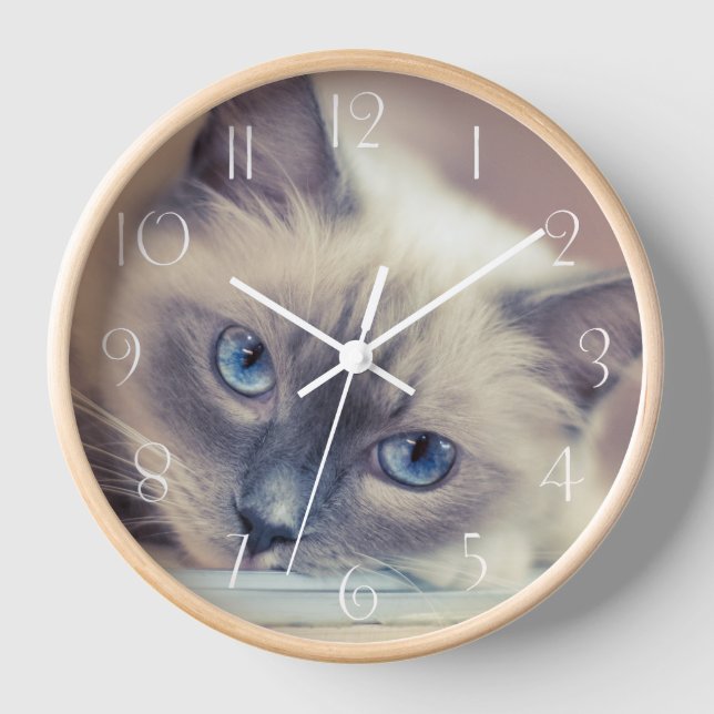 Stunning Blue Eyed Ragdoll‎ Cat Clock (Front)