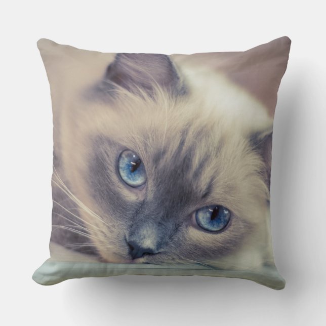 Stunning Blue Eyed Ragdoll‎ Cat Cushion (Front)