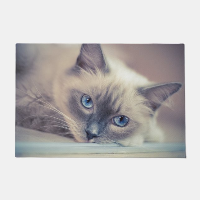 Stunning Blue Eyed Ragdoll‎ Cat Doormat (Front)