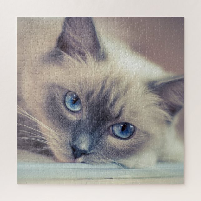 Stunning Blue Eyed Ragdoll‎ Cat Jigsaw Puzzle (Vertical)