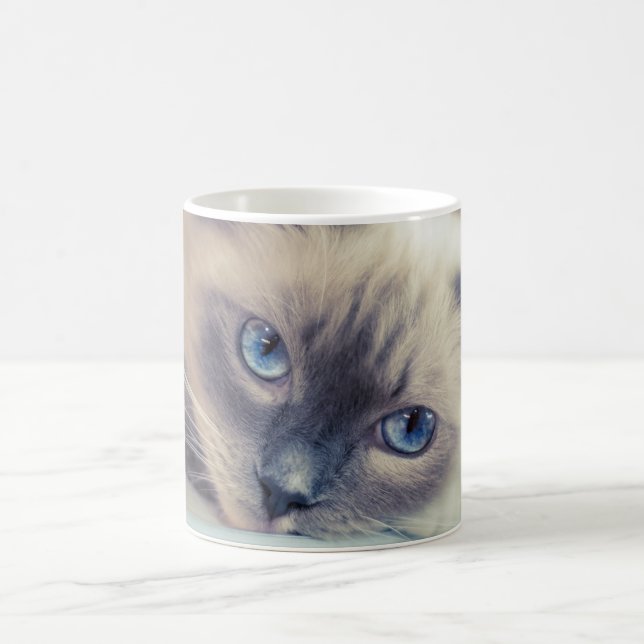 Stunning Blue Eyed Ragdoll‎ Cat Magic Mug (Center)