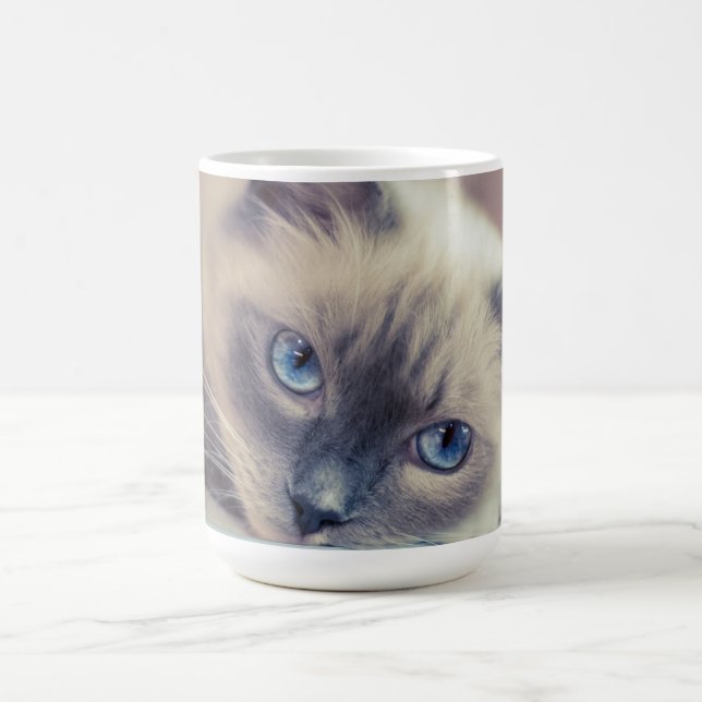 Stunning Blue Eyed Ragdoll‎ Cat Magic Mug (Center)