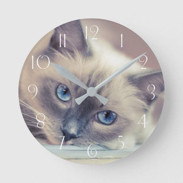 Stunning Blue Eyed Ragdoll‎ Cat Round Clock (Front)