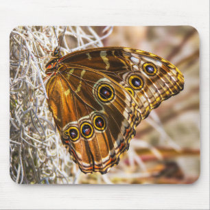 Stunning Blue Morpho Butterfly Wildlife Photo Art Mouse Mat