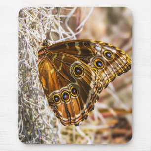 Stunning Blue Morpho Butterfly Wildlife Photo Art Mouse Mat