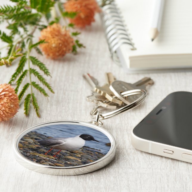 Stunning Bonaparte's Gull Seabird at Beach Key Ring (Side)