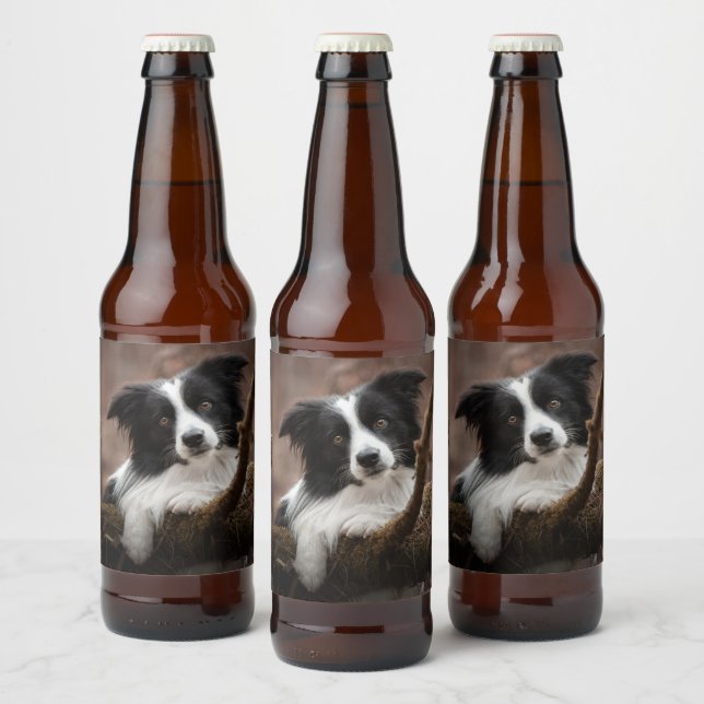 Stunning Border Collie Portrait Beer Bottle Label (Bottles)