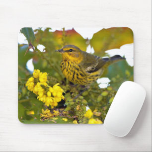 Stunning Cape May Warbler Songbird on Mahonia Mouse Mat