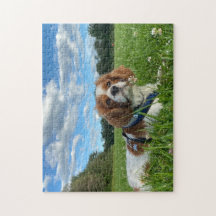 Stunning Cavalier King Charles Spaniel Puzzle