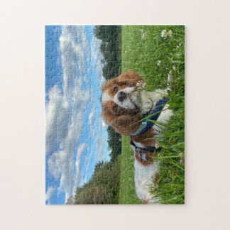 Stunning Cavalier King Charles Spaniel Puzzle