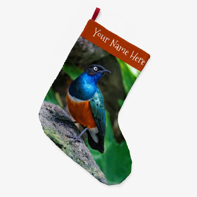 Stunning Colourful African Superb Starling Songbir Large Christmas Stocking (Front (Hanging))
