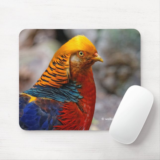 Stunning Colourful Red Golden Pheasant Gamebird Mouse Mat (With Mouse)