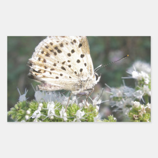 Stunning Cream and Chocolate Butterfly Rectangular Sticker