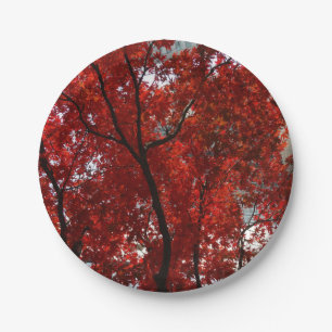 Stunning Crimson Leaves and Black Limbs on a Paper Plate