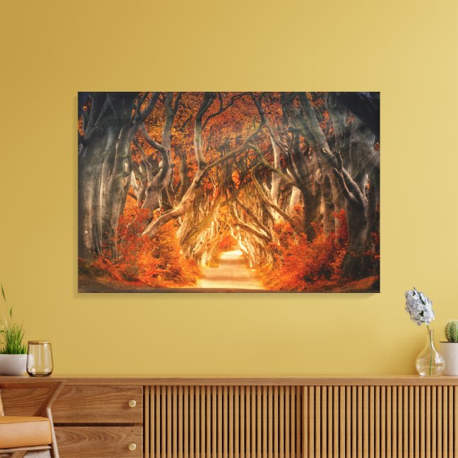 Stunning Dark Forest of Hedges Canvas Print (Insitu(LivingRoom))