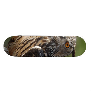 Stunning Eagle Owl with Orange Eyes Skateboard