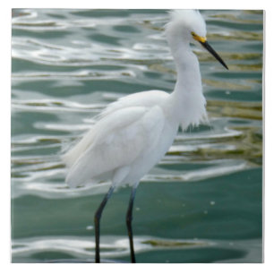 Stunning Egret Bird Tile