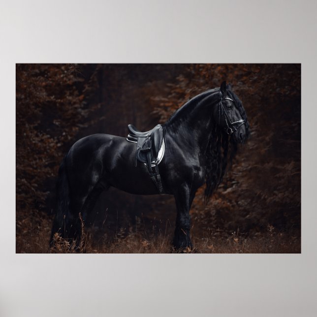 Stunning Elegant Sport Dressage Friesian Stallion Poster (Front)