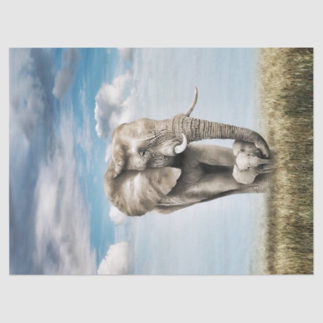 Stunning Elephant Baby Calf Tissue Paper (Front)