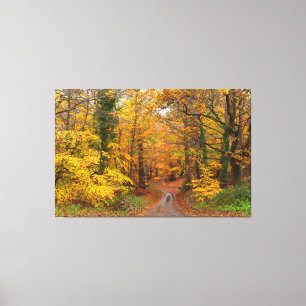 Stunning English autumn forest colours with path Canvas Print