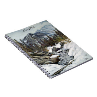 Stunning Estes Park Colorado Winter Stream Notebook