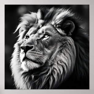 Stunning exotic lion digital print