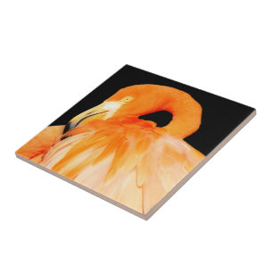 Stunning Flamingo Bird in the Summer Sun Tile