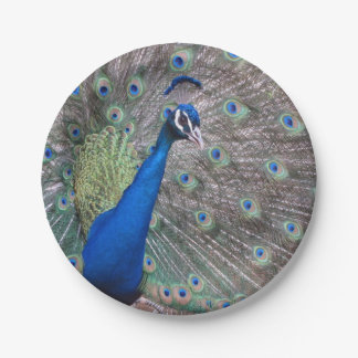 Stunning Full Vintage Peacock Paper Plate