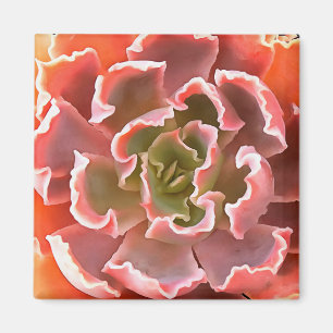 Stunning Garden Succulent Pink Tones Realistic Art Magnet