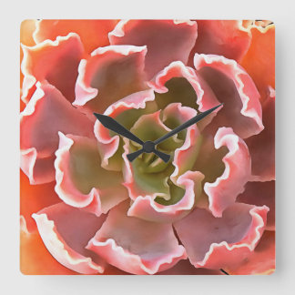 Stunning Garden Succulent Pink Tones Realistic Art Square Wall Clock