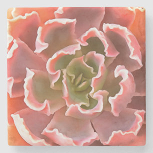Stunning Garden Succulent Pink Tones Realistic Art Stone Coaster