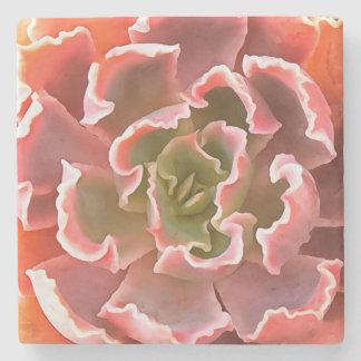 Stunning Garden Succulent Pink Tones Realistic Art Stone Coaster